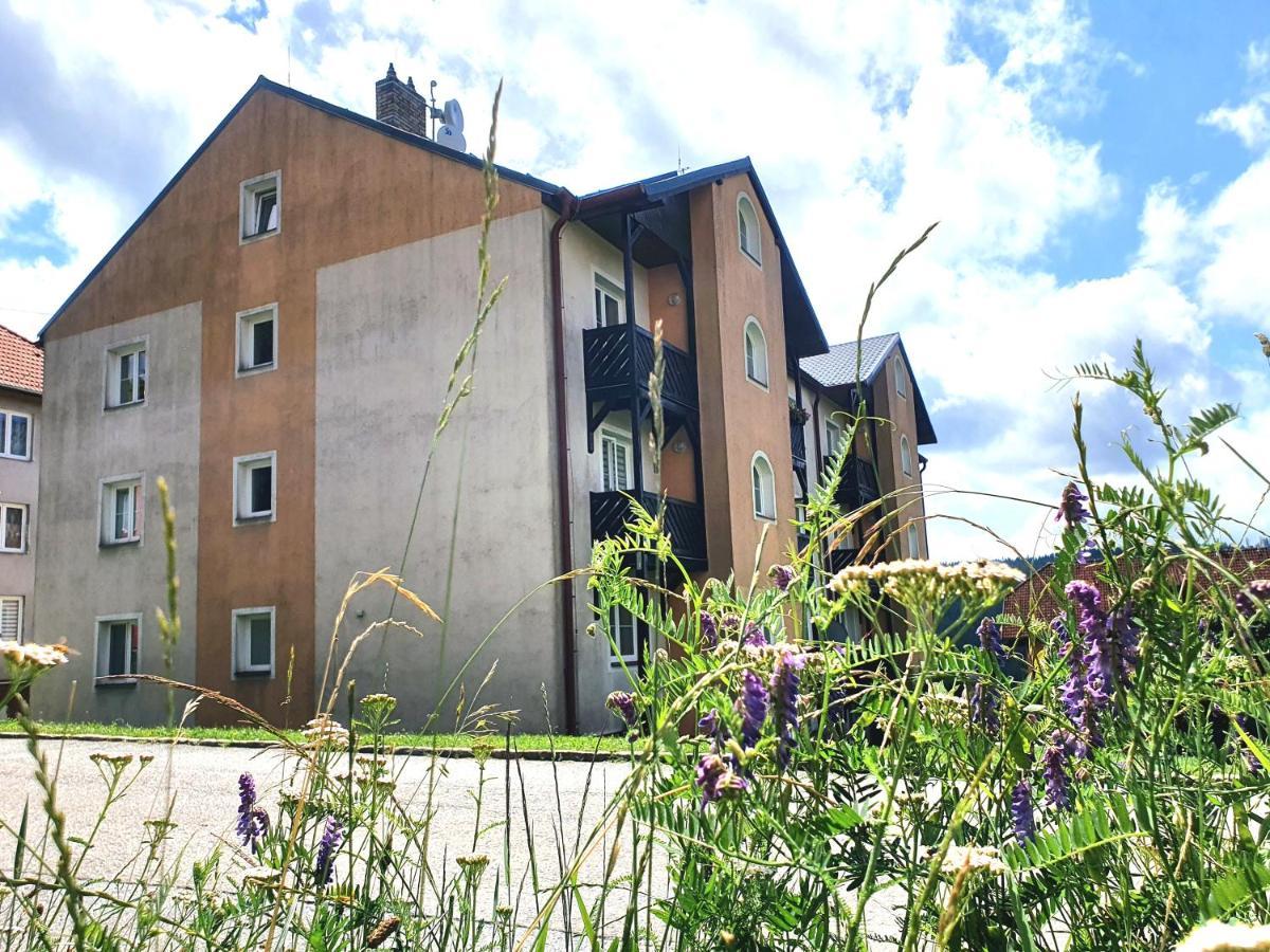 Apartmany Lipno-1 Липно над Вълтава Екстериор снимка