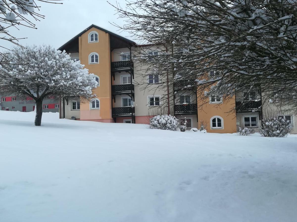 Apartmany Lipno-1 Липно над Вълтава Екстериор снимка