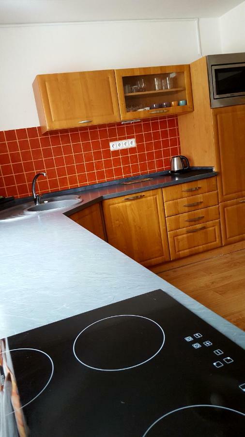 Apartmany Lipno-1 Липно над Вълтава Екстериор снимка